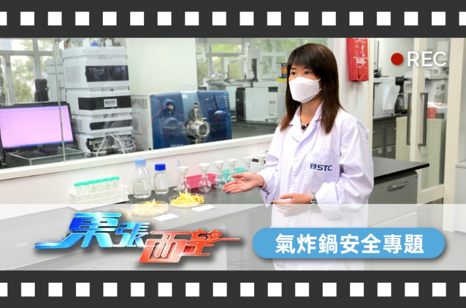 TVB「東張西望」專訪STC